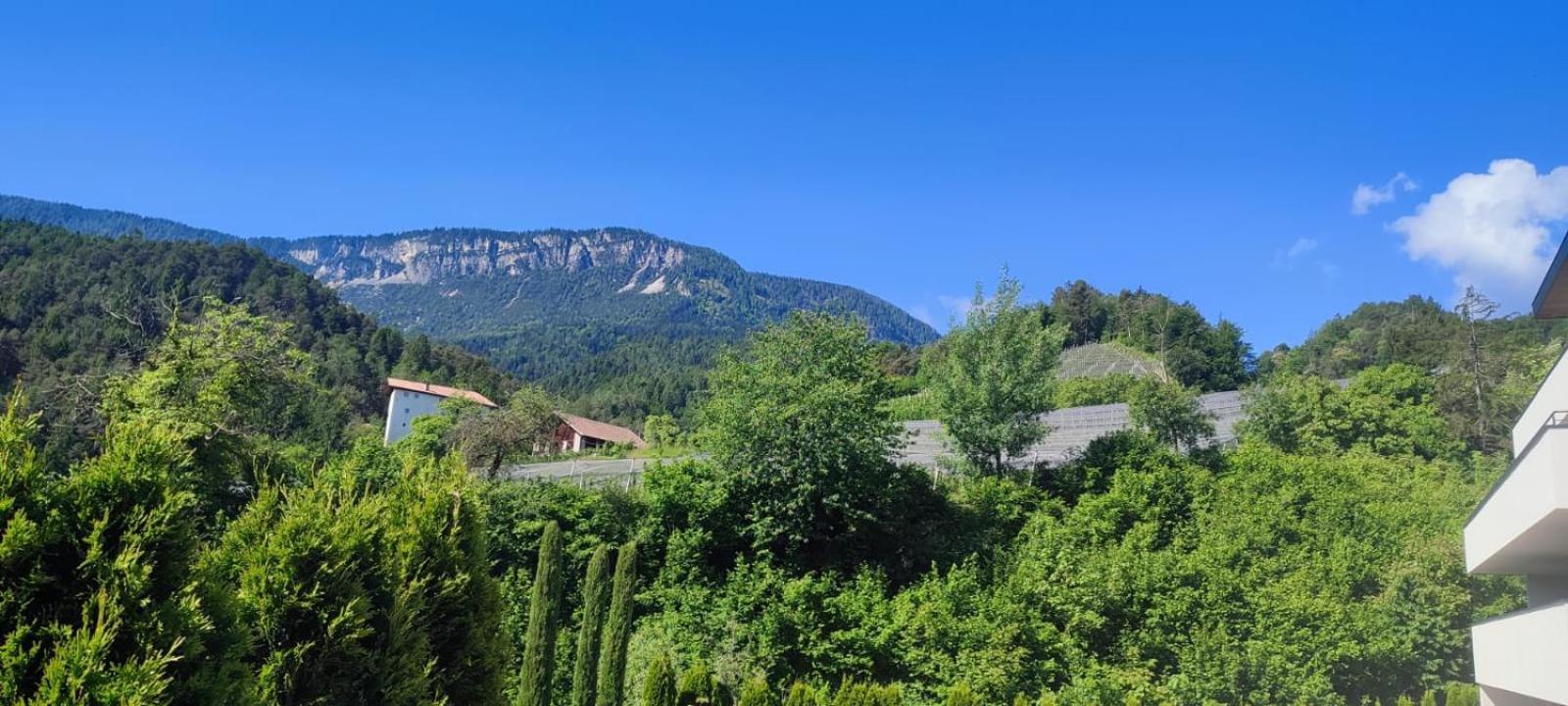 Janas Bolzano Mountain Apartment Tesimo Dış mekan fotoğraf